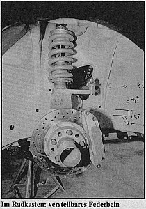['adjustable shock absorber and strut']